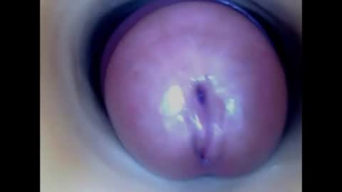 Snapshot of paulainoscente chatting on July 8, 2:05 am Paula 18 Aninhos online show from July 8, 2:05 am
