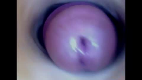 Snapshot of paulainoscente chatting on July 13, 2:03 am Paula 18 Aninhos online show from July 13, 2:03 am