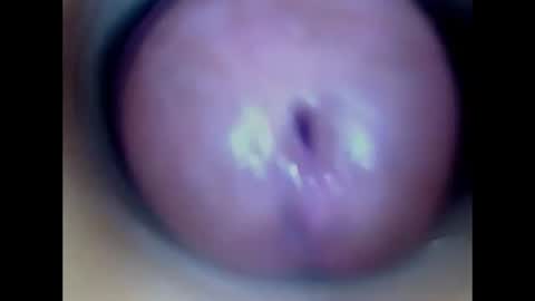 Snapshot of paulainoscente chatting on July 13, 2:09 pm Paula 18 Aninhos online show from July 13, 2:09 pm