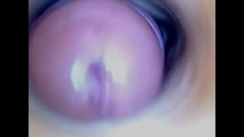 Snapshot of paulainoscente chatting on July 20, 2:48 am Paula 18 Aninhos online show from July 20, 2:48 am
