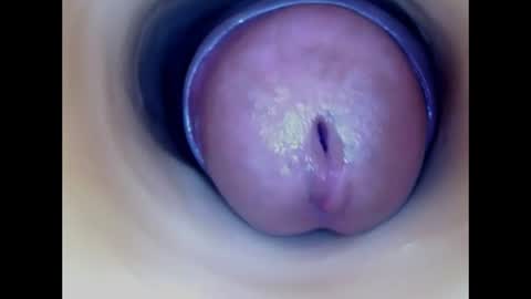 Snapshot of paulainoscente chatting on July 26, 2:31 am Paula 18 Aninhos online show from July 26, 2:31 am