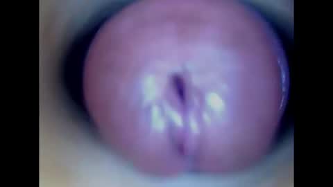 Snapshot of paulainoscente chatting on July 31, 1:21 pm Paula 18 Aninhos online show from July 31, 1:21 pm