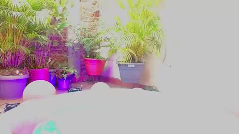 Snapshot of paulina_sodi chatting on June 19, 7:39 pm Paulina online show from June 19, 7:39 pm