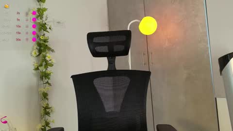 paulirose online show from February 24, 7:56 pm