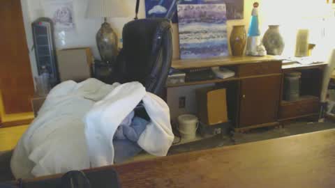 Snapshot of paulleroy chatting on January 25, 1:43 am paulleroy online show from January 25, 1:43 am