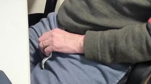 Snapshot of paultje7171 chatting on February 10, 6:45 pm Paul online show from February 10, 6:45 pm