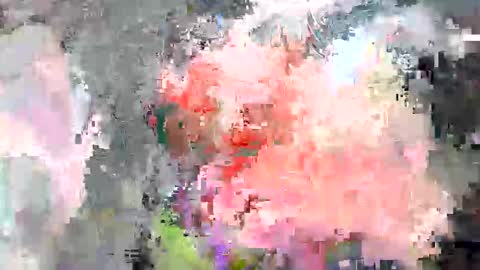 paulymcdona online show from April 10, 1:49 pm