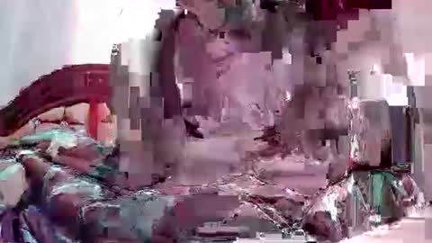 Coco channel  online show from January 14, 7:06 am