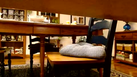 peecocktail online show from October 13, 5:07 am