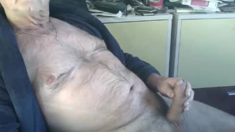 pegaso1000 online show from January 15, 9:58 am