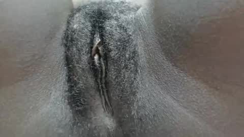 pennyna1 online show from October 5, 11:35 pm