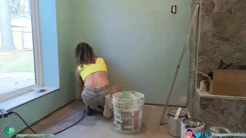 Snapshot of peppermintdusty chatting on November 14, 7:45 pm Peppermint and Dusty online show from November 14, 7:45 pm