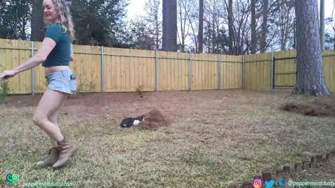 Peppermint and Dusty  online show from March 3, 7:42 pm