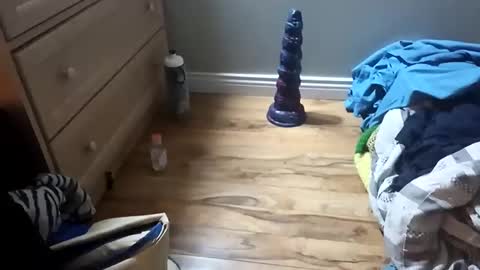 perdz768563 online show from March 22, 11:30 pm