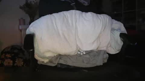 peregrintpelfox online show from January 6, 7:01 am