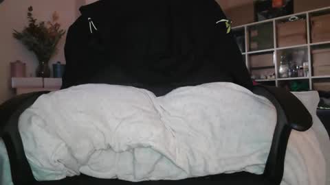 peregrintpelfox online show from January 14, 9:04 am