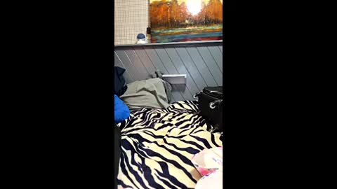 Snapshot of perfectcockandsexyfeet chatting on June 7, 3:32 am perfectcockandsexyfeet online show from June 7, 3:32 am