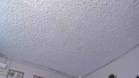 Snapshot of perverted_guys19 chatting on December 1, 3:22 am Ludoziel 19 online show from December 1, 3:22 am