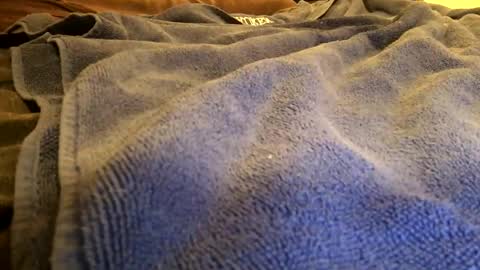 pervyguy51 online show from December 4, 3:49 am