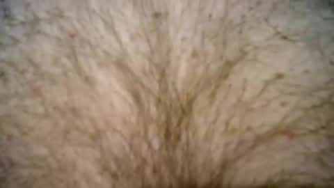 Snapshot of peterpeteropoulos chatting on February 27, 7:37 pm peterpeteropoulos online show from February 27, 7:37 pm