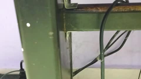 danna online show from December 23, 1:40 am