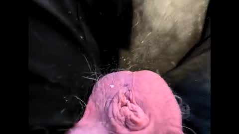 Snapshot of petrol63102 chatting on February 20, 1:22 pm petrol63102 online show from February 20, 1:22 pm