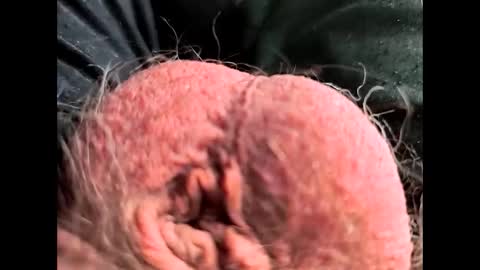 Snapshot of petrol63102 chatting on February 26, 1:10 pm petrol63102 online show from February 26, 1:10 pm