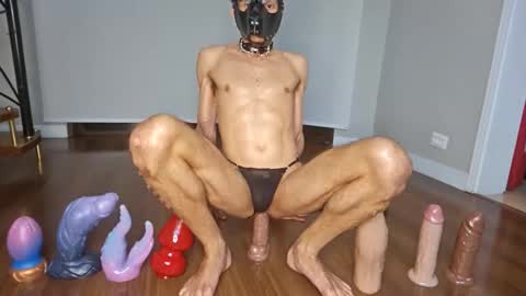 Snapshot of petsexboy chatting on June 10, 1:28 am petsexboy online show from June 10, 1:28 am