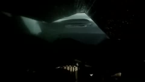 phillipdee online show from November 26, 9:21 am