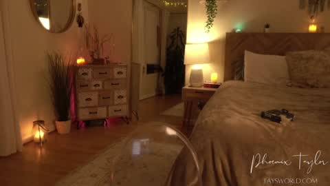 Snapshot of phoenix_taylor chatting on November 22, 2:10 am PHOENIX TAYLOR online show from November 22, 2:10 am