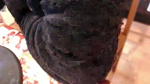 piercedcock069 online show from January 17, 10:09 am