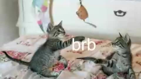 Kitty online show from June 25, 1:38 am