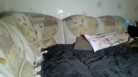 Snapshot of pinochetti chatting on January 3, 12:43 am Incubus online show from January 3, 12:43 am