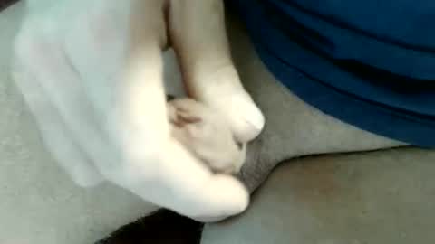 Snapshot of pippo2704 chatting on May 31, 9:16 pm pippo online show from May 31, 9:16 pm