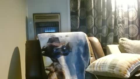 pirate334 online show from January 7, 11:29 pm