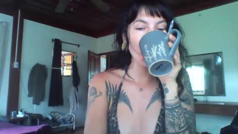 Snapshot of pixiecatfairy chatting on November 13, 2:21 am pixiecatfairy online show from November 13, 2:21 am