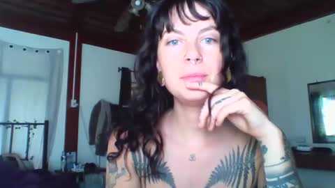 Snapshot of pixiecatfairy chatting on November 16, 2:17 am pixiecatfairy online show from November 16, 2:17 am