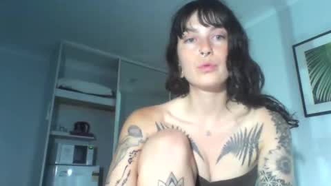 Snapshot of pixiecatfairy chatting on December 4, 12:03 pm pixiecatfairy online show from December 4, 12:03 pm