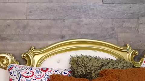 PlayfulSamy online show from December 12, 10:02 am