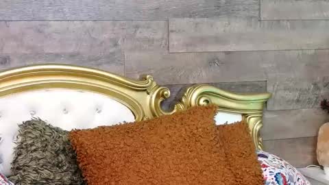 PlayfulSamy online show from January 13, 11:30 am