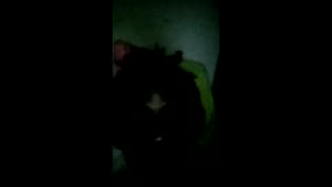 pledges000 online show from March 6, 2:35 pm