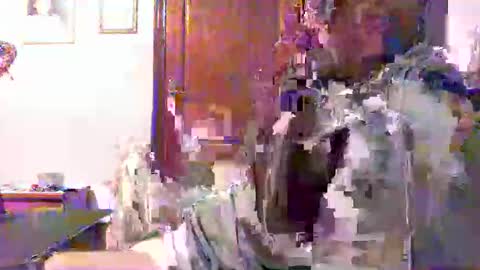 plu07f3520 online show from April 9, 12:43 am