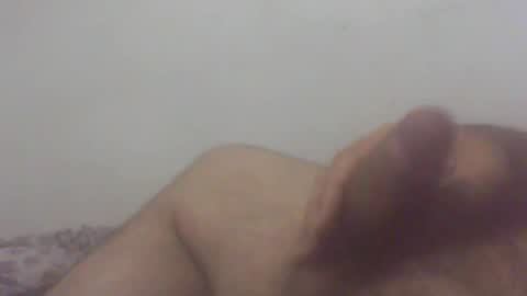 Snapshot of pol2023 chatting on November 12, 3:40 am pol2023 online show from November 12, 3:40 am