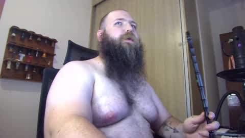 Bear online show from January 15, 5:08 am