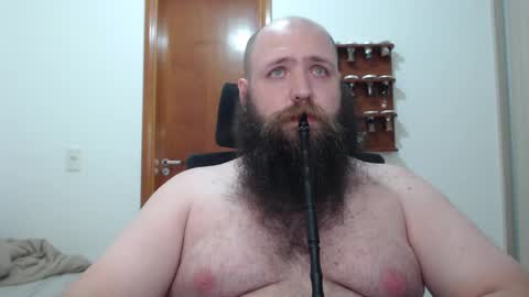 Bear online show from February 16, 8:21 am