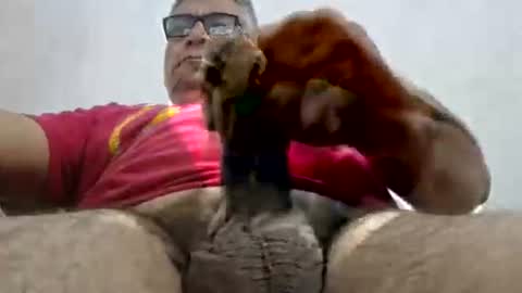 Snapshot of poli475 chatting on February 15, 11:03 pm poli online show from February 15, 11:03 pm