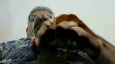 Snapshot of poli475 chatting on November 17, 2:56 pm poli online show from November 17, 2:56 pm