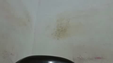 poli online show from May 12, 2:52 am