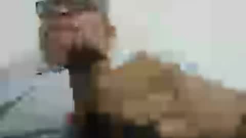 poli online show from July 18, 6:12 pm
