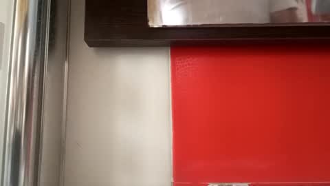 Snapshot of pollonmix chatting on September 11, 10:59 am pollonmix online show from September 11, 10:59 am